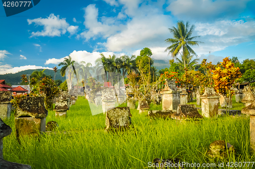 Image of Old cemetery in Waruga