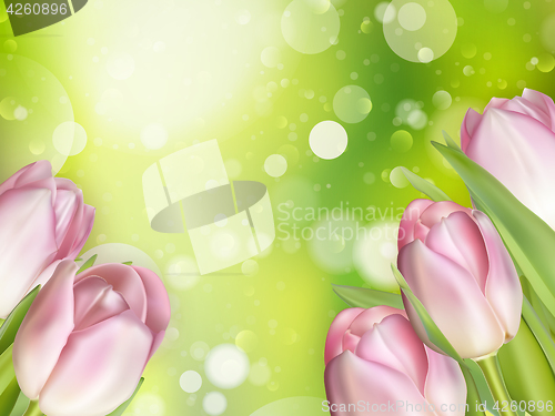 Image of Beautiful pink tulips. EPS 10