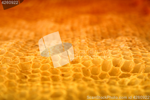 Image of bee wax texture