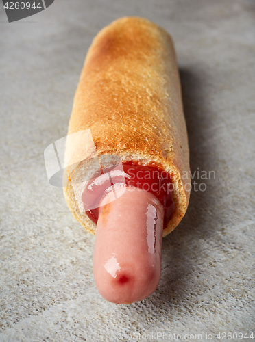 Image of Hotdog with ketchup