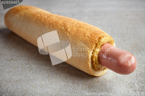 Image of Hotdog with mustard