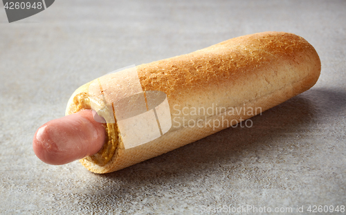 Image of Hotdog with mustard