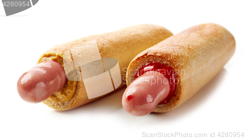 Image of Two hotdogs on white background