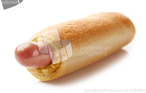 Image of Hotdog with mustard