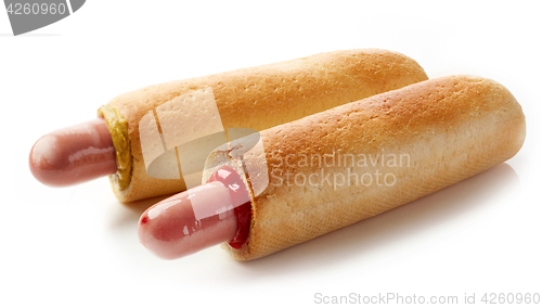 Image of Two hotdogs on white background