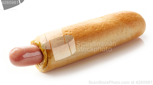 Image of Hotdog with mustard