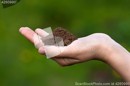 Image of fertile soil in hands of women