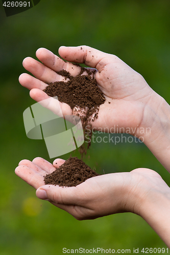 Image of fertile soil in hands