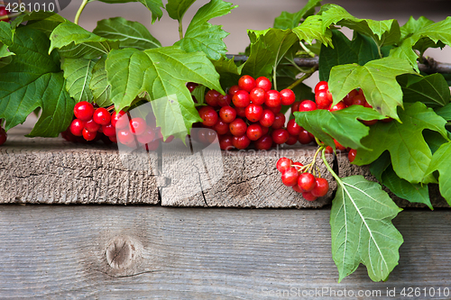 Image of branch of red viburnum berries on the wooden table