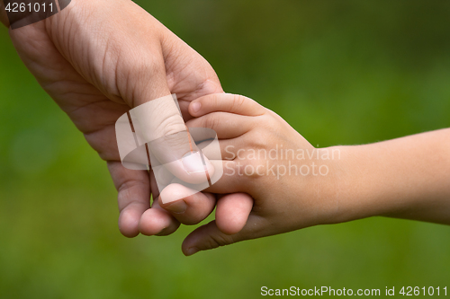 Image of adult holding a child's hand