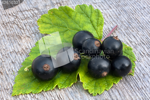 Image of berries of black currant on wooden background, closeup