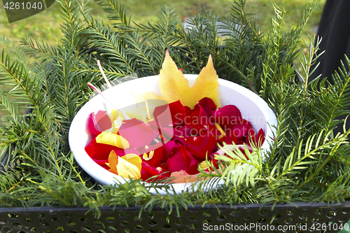 Image of Detail of blossom leaves at a funeral