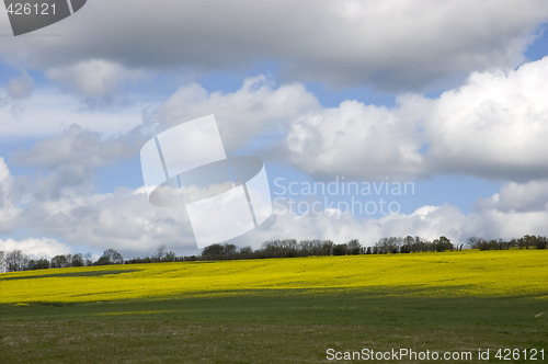 Image of Farm land