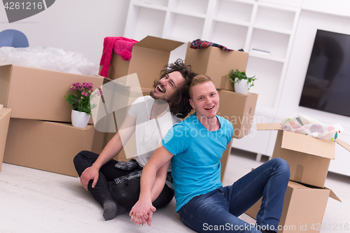 Image of young  gay couple moving  in new house