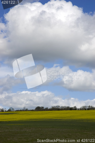 Image of Farm land
