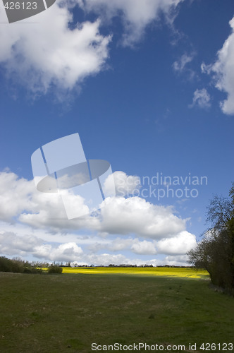 Image of Farm land