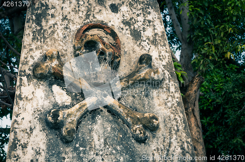 Image of Skull and bones