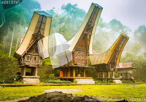 Image of Tongkonans in morning fog