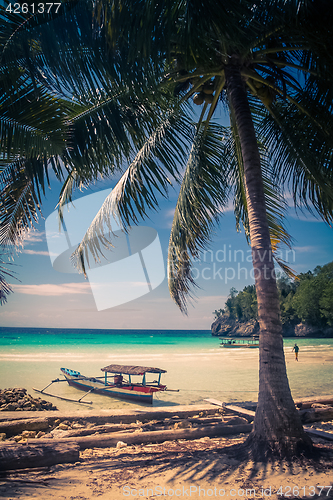 Image of Palm and boat