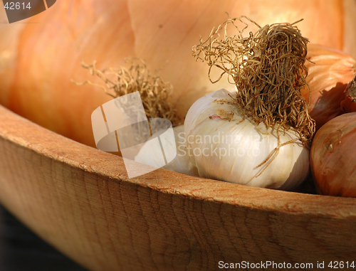 Image of Organic Garlic