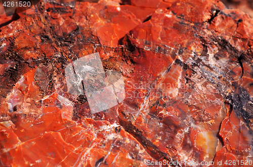 Image of Petrified-Forest-National-Park, Arizona, USA