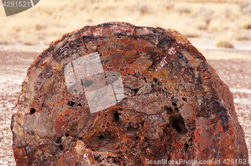 Image of Petrified-Forest-National-Park, Arizona, USA