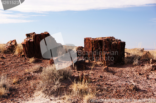 Image of Petrified-Forest-National-Park, Arizona, USA