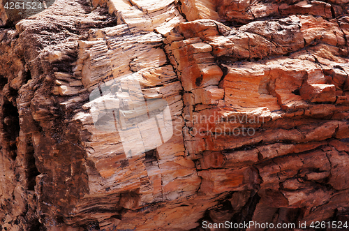 Image of Petrified-Forest-National-Park, Arizona, USA