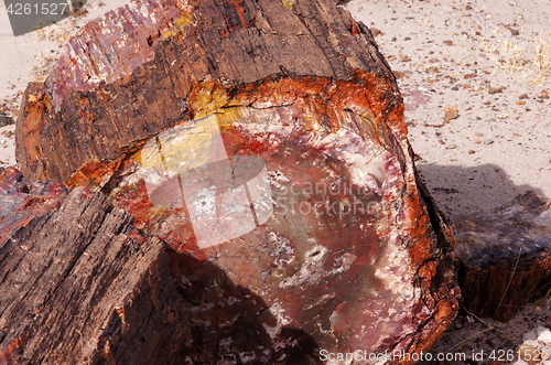 Image of Petrified-Forest-National-Park, Arizona, USA