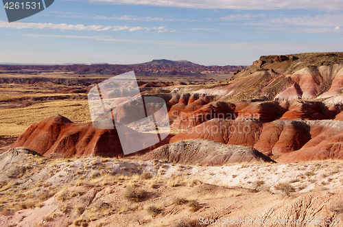 Image of Petrified-Forest-National-Park, Arizona, USA