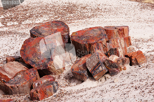 Image of Petrified-Forest-National-Park, Arizona, USA