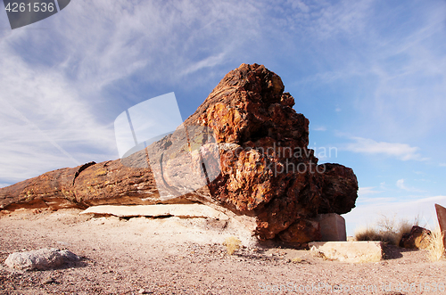 Image of Petrified-Forest-National-Park, Arizona, USA