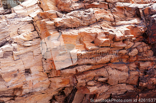 Image of Petrified-Forest-National-Park, Arizona, USA