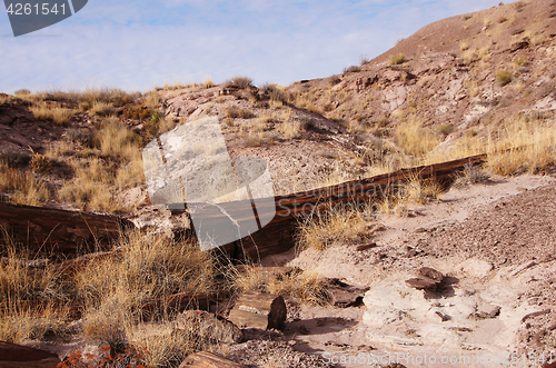 Image of Petrified-Forest-National-Park, Arizona, USA