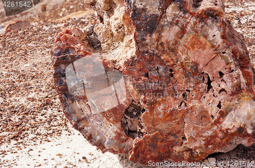 Image of Petrified-Forest-National-Park, Arizona, USA