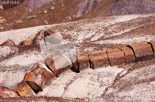 Image of Petrified-Forest-National-Park, Arizona, USA