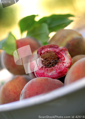 Image of Peaches In Bowl