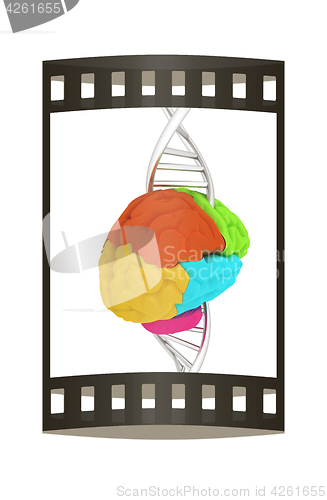 Image of Brain and dna. 3d illustration. The film strip