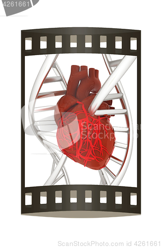 Image of DNA and heart. 3d illustration. The film strip