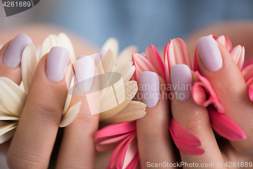 Image of woman hands with manicure holding flower