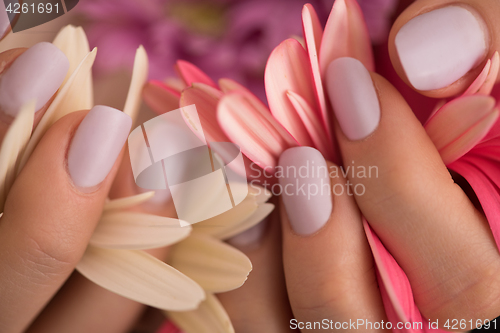 Image of woman hands with manicure holding flower