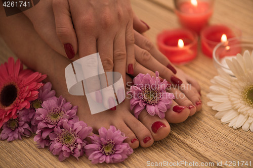 Image of female feet and hands at spa salon