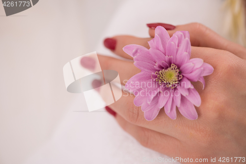 Image of woman fingers with french manicure