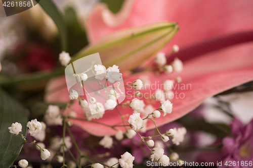 Image of close up colorful flowers