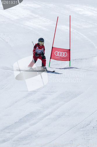 Image of Marcelo Vicente during the Ski National Championships