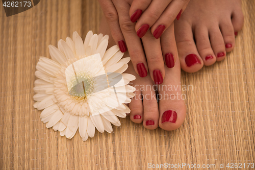 Image of female feet and hands at spa salon