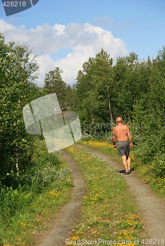 Image of Old country road