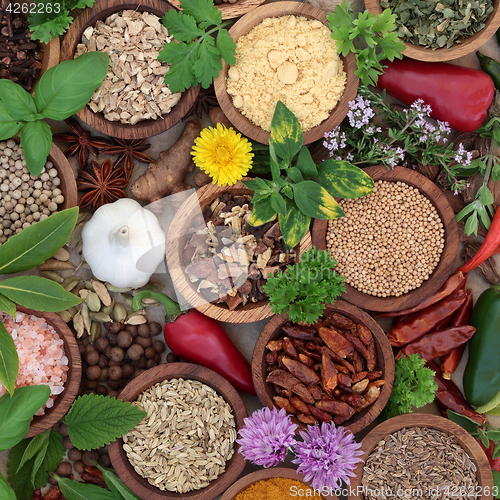 Image of Dried and Fresh Herbs and Spices