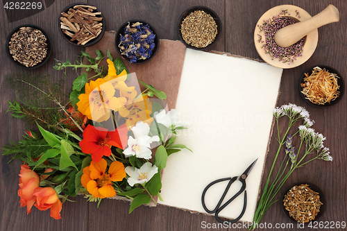 Image of Flowers and Herbs for Healing