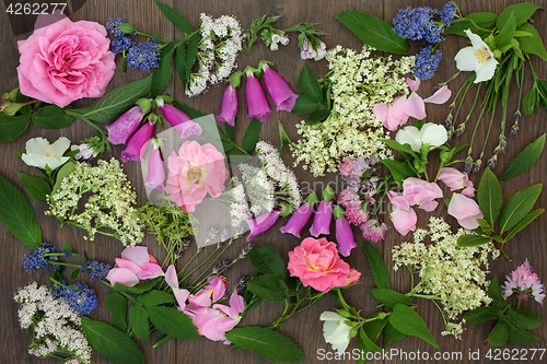 Image of Medicinal Flower and Herb Collection